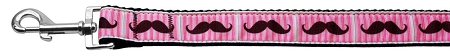 Pink Striped Moustache Ribbon Pet Leash 1 wide 4ft